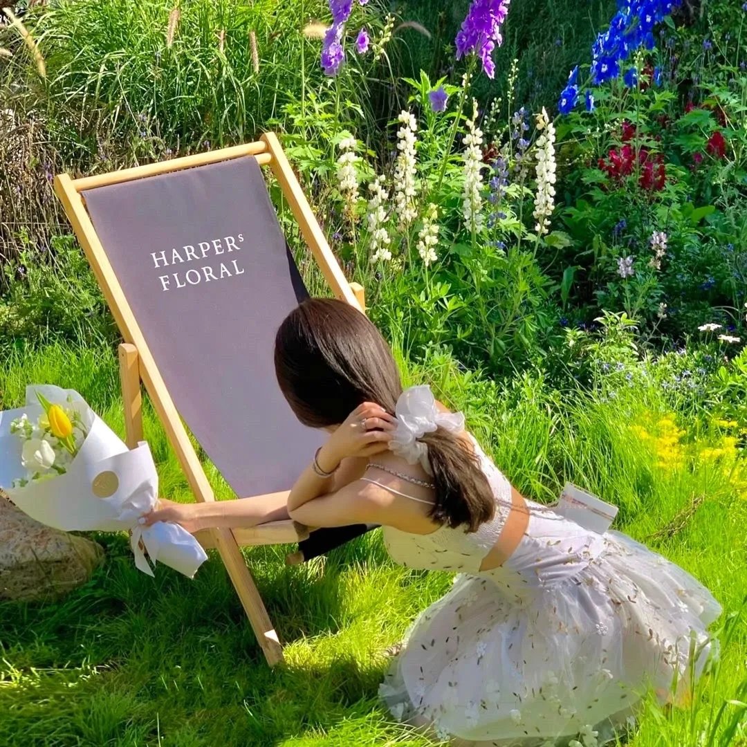 北斋：浮世绘传奇 HOKUSAI